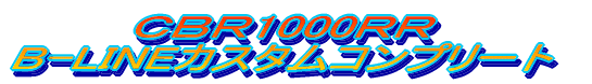 baq1000qq B-LINEJX^Rv[g
