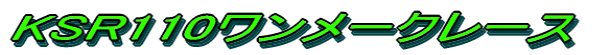 KSR110[N[X 