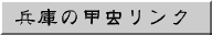 ɂ̍bN